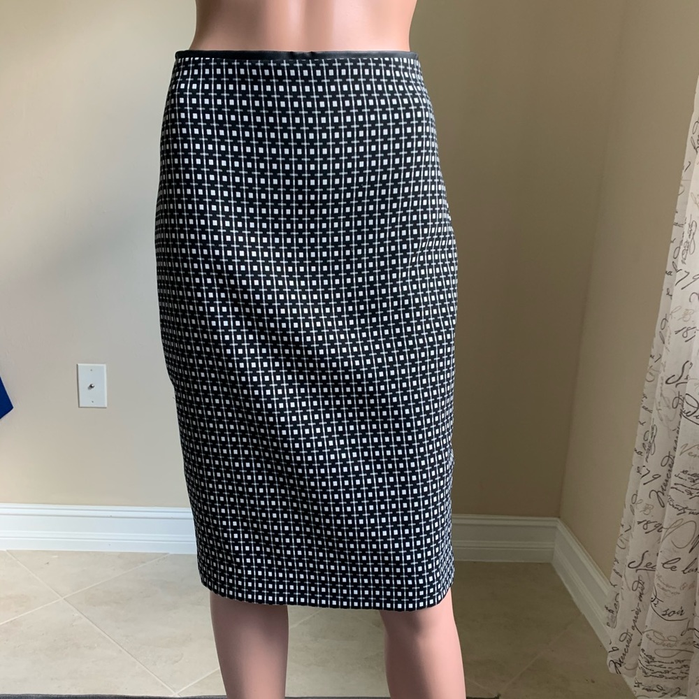Express Skirt